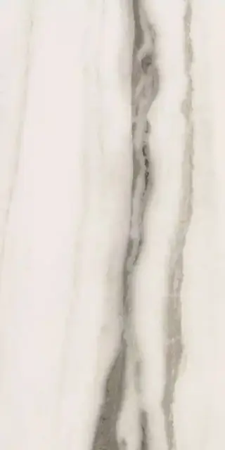 White Fantasy Glossy 60x120