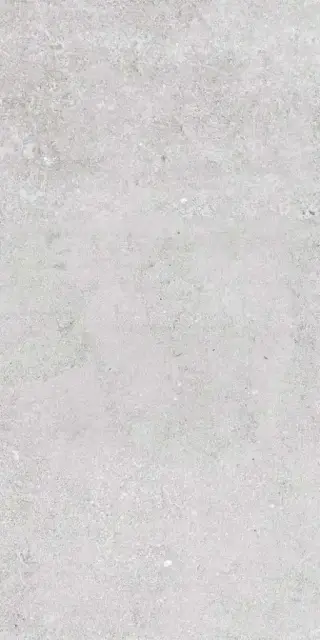 Concrete light grey 60x120