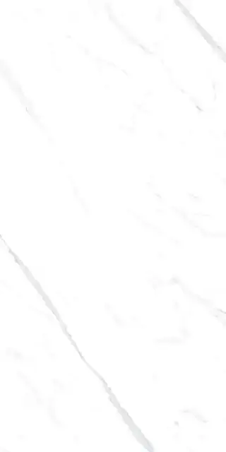 Statuario white 60x120