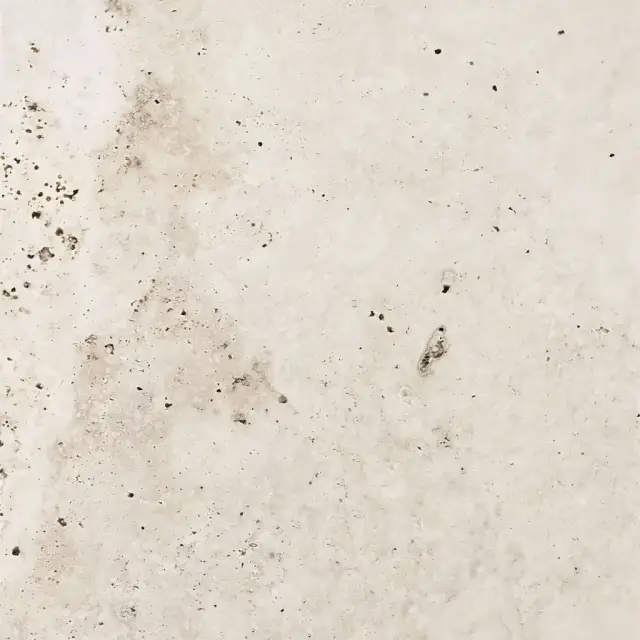 Heritage Ivory 20x20