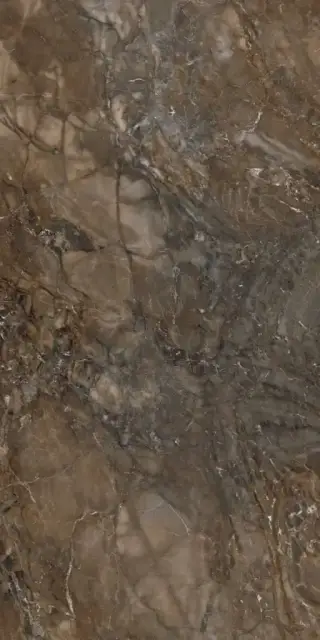 Bernini 04 dark brown неполир.60х120