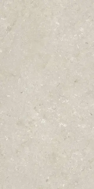 Shellstone Beige 60x120