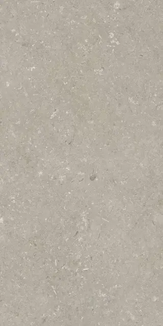 Shellstone Taupe 60x120