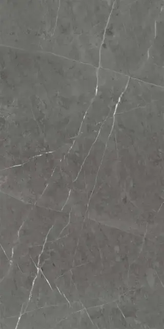 Skala 2203 Темно-серый Матовый 60х120