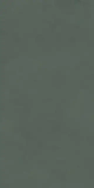 Про Чементо зелёный матовый обрезной 60x119.5