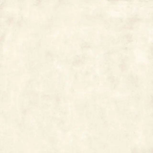 Gravity White XX 80x80