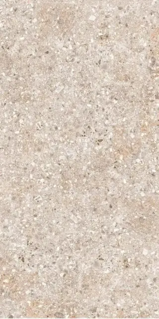 Treviso серая 60x120 ZZ