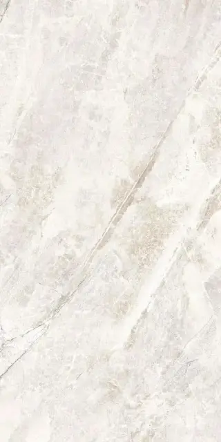 Reims светло-серая 60x120 ZZ