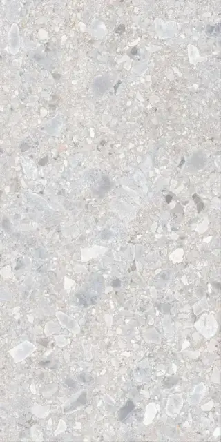 Dallas светло-серая 60x120 ZZ