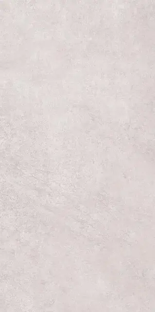 Bern серая 60x120 ZZ