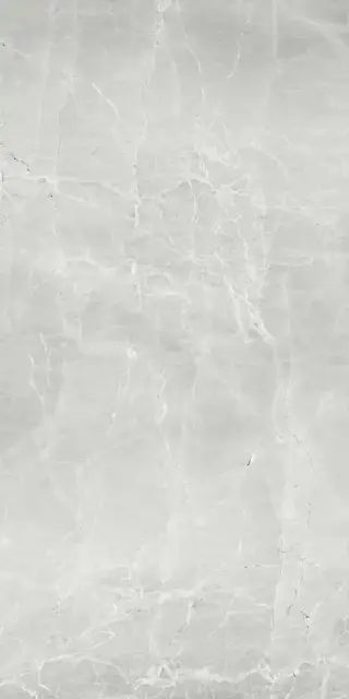 Uvildy Grey G363/Увильды серый мат.60x120