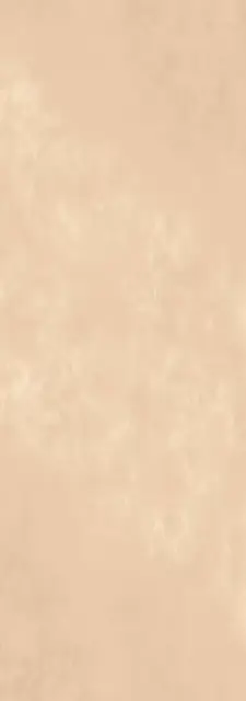 Oxide Avorio 5,6 mm ZZ |100x300