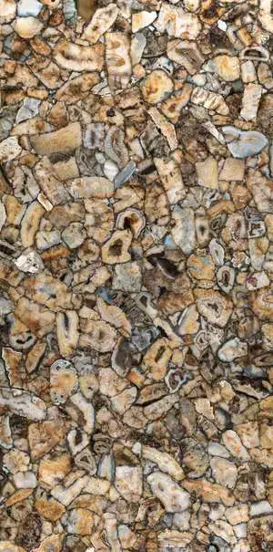 Agata Atena Lucidato (Shiny) 6 mm XX 150x300