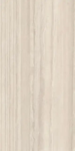 Travertino Silver Natural Plus (R10) 150x300