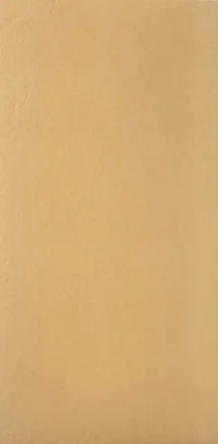 Mango6 12 (п.п.) ZZ 60x120