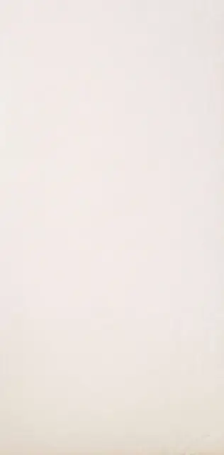 Burro6 12 (п.п.) ZZ 60x120