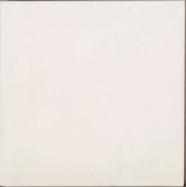 Contemporary Coconut Milk 15x15