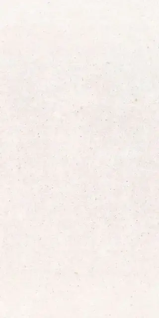 Core Pro White  ZZ 60x120