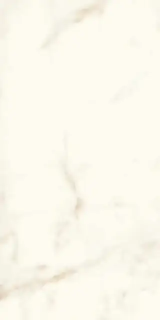 Marvel Calacatta Delicato Lappato|60x120