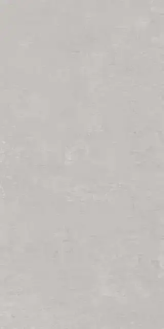 Про Фьюче серый светлый обр. гр. |60х119,5