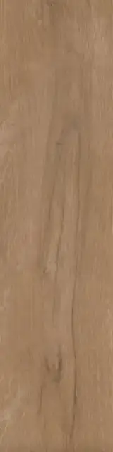 Аргания бежевый тёмный матовый 9,9x40,2x0,8