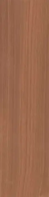 Аргания коричневый матовый 9,9x40,2x0,8