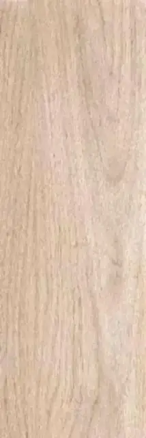 Blond beige PG 01 20х60