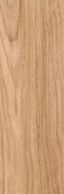 Siberia beige PG 01 20х60