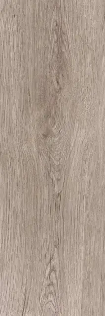 Baltika grey PG 02  20х60