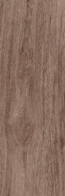 Baikal brown PG 02 20х60