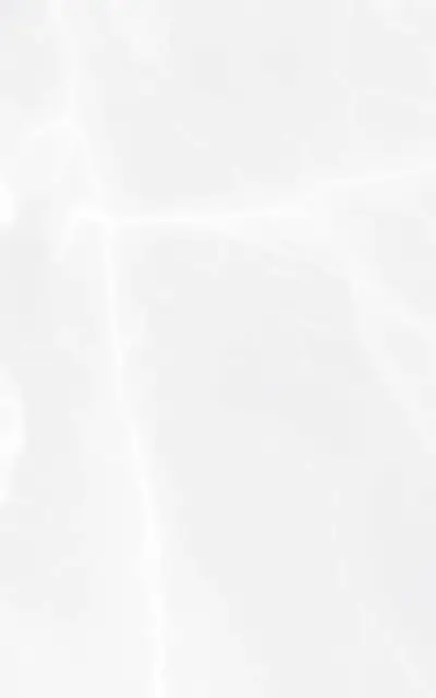 Эдем бел верх 01 25x40