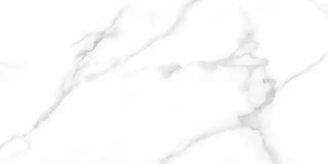 Керамическая плитка Калакатта белый / Плитка 31.5*63 CALACATTA BIANCO 49