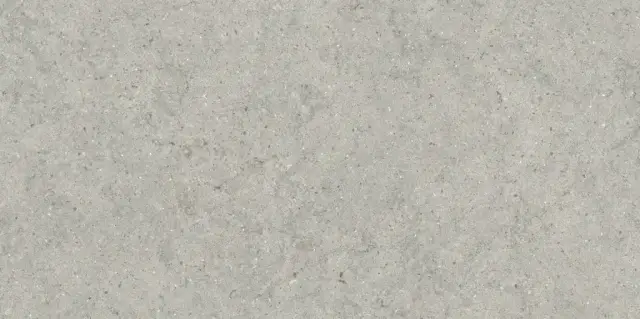 Italon Керамический гранит Forum Керамогранит Stone Silver 60x120 натуральный