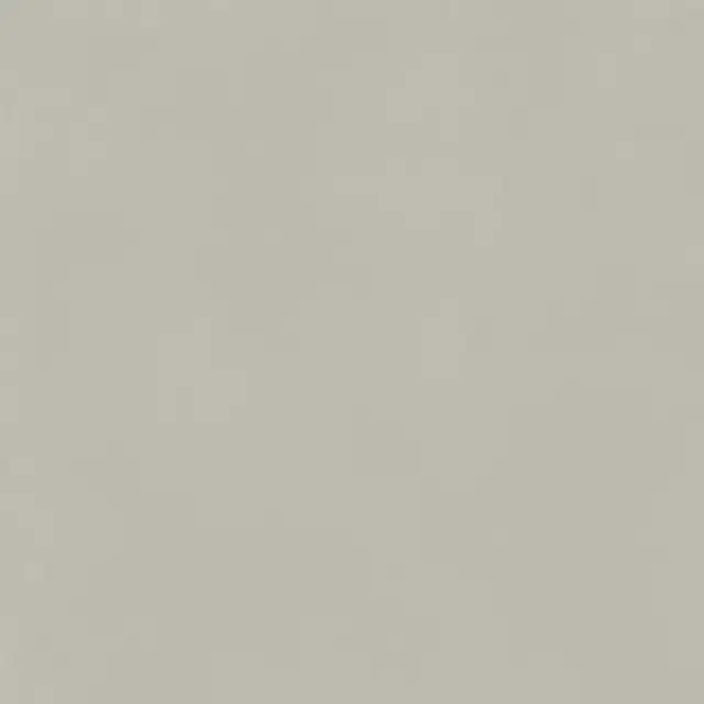 Italon Керамический гранит Forum Керамогранит Slim Silver 80x80 натуральный