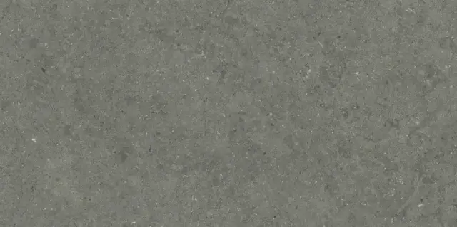 Italon Керамический гранит Forum Керамогранит Stone Iron 60x120 натуральный