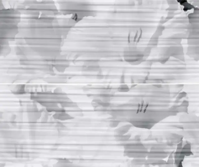 Celia white panno 01 (из 2х частей 25x60)  |50х60