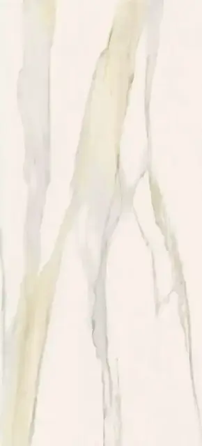 Calacatta Gold Glossy 120x280