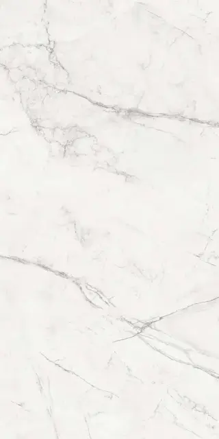 Aria Pol. XX 60х120