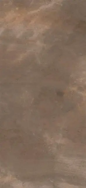 TREX6 260TO LP  120x260 XX