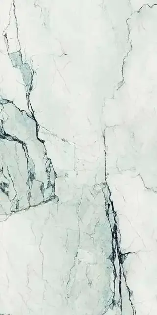 AE CAM6 278 LPM 120x278