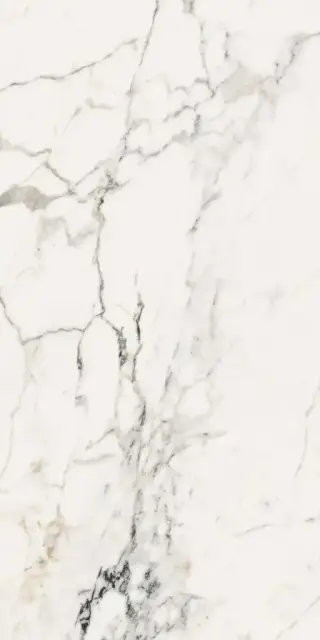 AE PAO6 12 LP |60x120