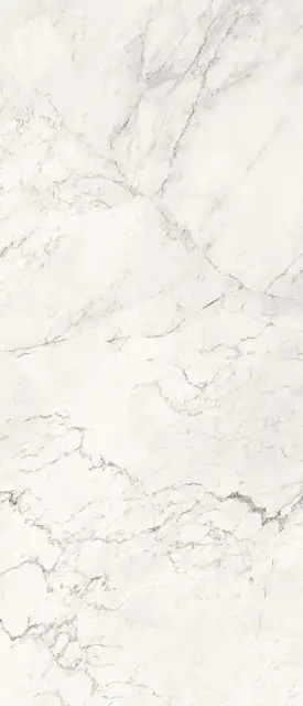 AE CAL6 278 LP 120x278