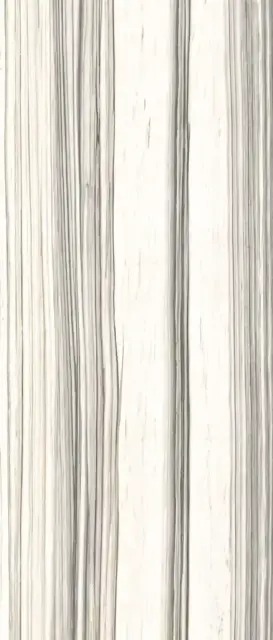 AE ZEB6 278 LP ZZ 120x278