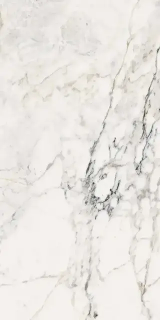 AE PAO6 12 RM |60x120