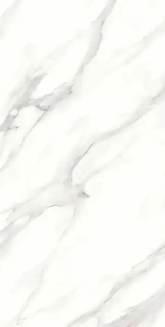 Calacatta Vero Satin 60x120