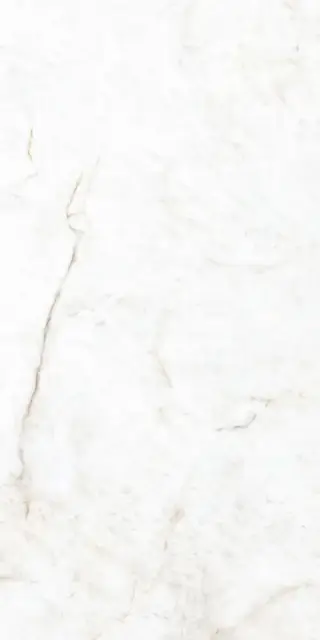 Crystal White Compacglass 60x120 Rec.