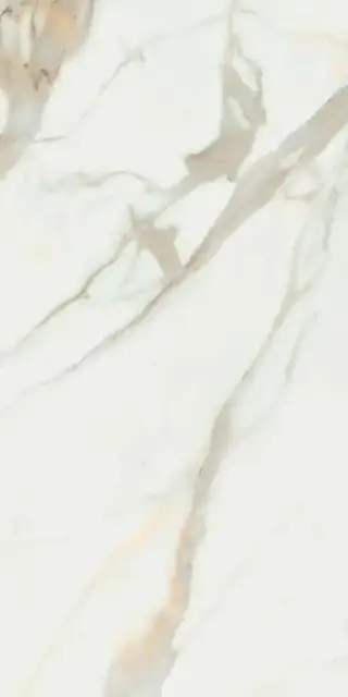 Calacata Gold  Compacglass 60x120 Rec.