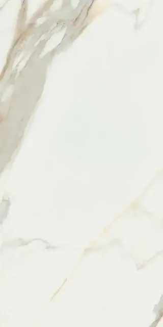 Calacata Gold  leviglass 60x120 Rec.