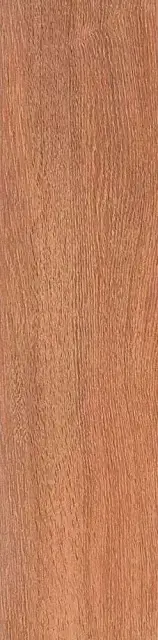 Вяз коричневый l9.9х40.2