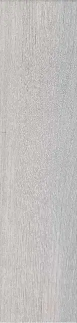 Вяз серый|9.9х40.2